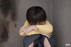 老实人都有哪些特点？如何不把孩子养成人人可欺的“老实人”？