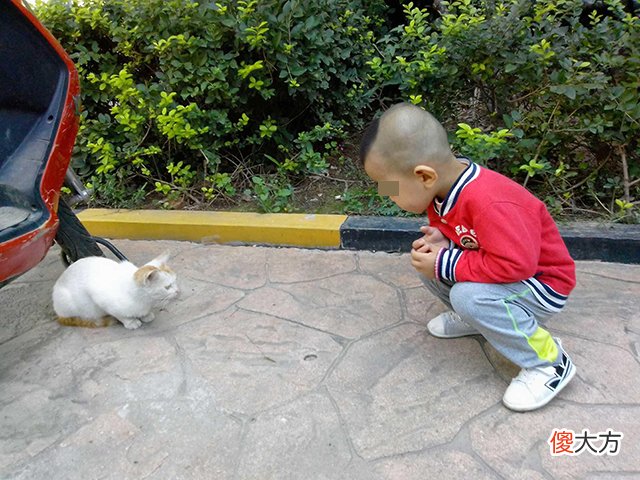 孩子以前有爱心，现在却喜欢“虐待”小动物？背后三个原因别忽略