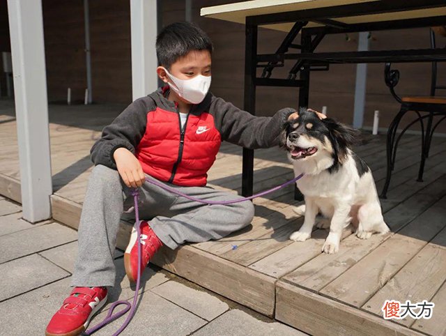 孩子以前有爱心，现在却喜欢“虐待”小动物？背后三个原因别忽略