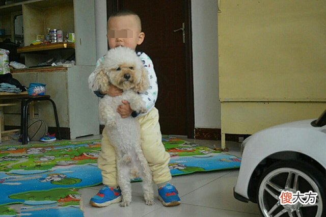 孩子以前有爱心，现在却喜欢“虐待”小动物？背后三个原因别忽略