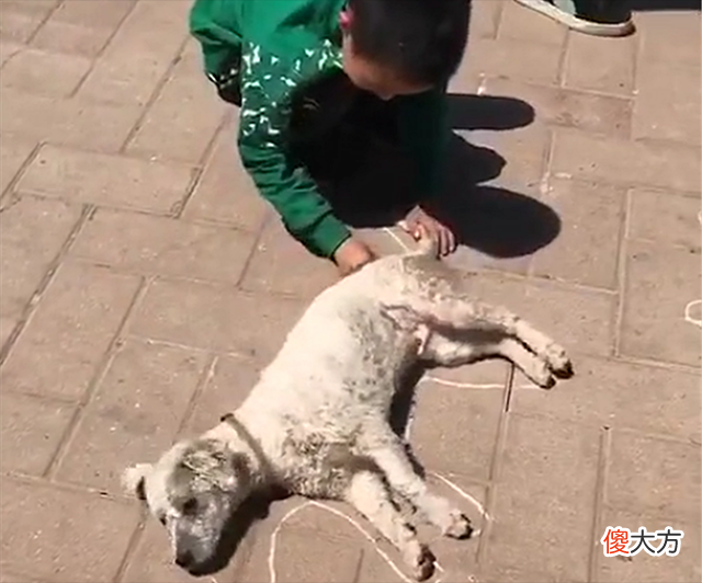 孩子以前有爱心，现在却喜欢“虐待”小动物？背后三个原因别忽略