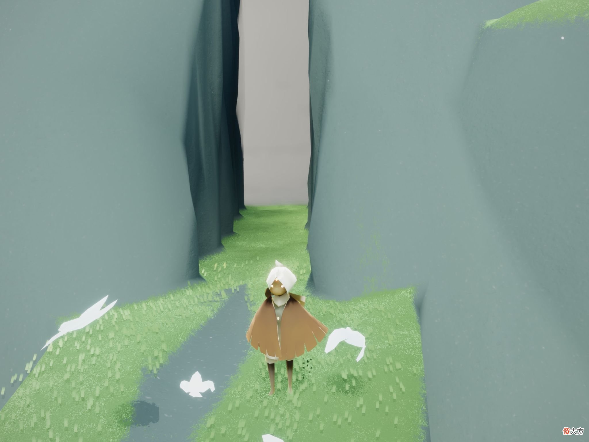 【游戏世界】光遇封号78万,大量玩家喊冤,官博:不存在误封,到底谁在说谎?