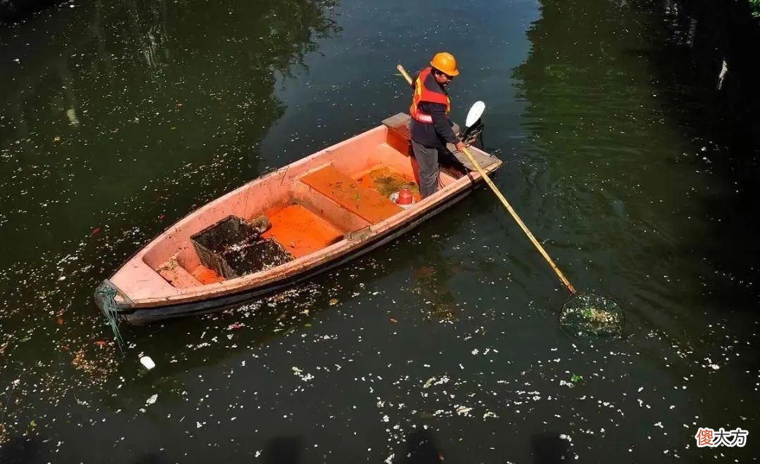 【历史故事】1951年获毛泽东主席“好好学习天天向上”题词的小学生后来怎样了？
