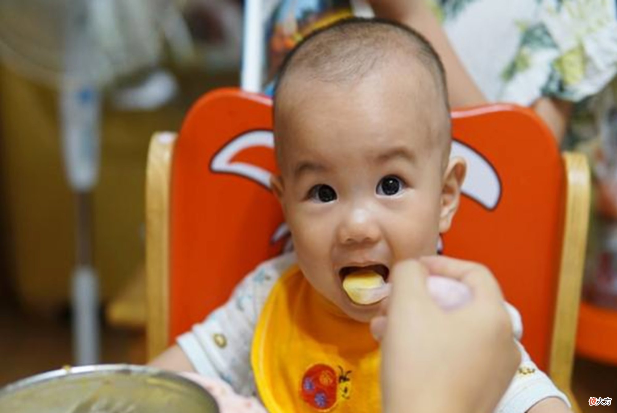 你以为营养充足实际却“坑娃”的几种辅食，真不该出现在饭桌上