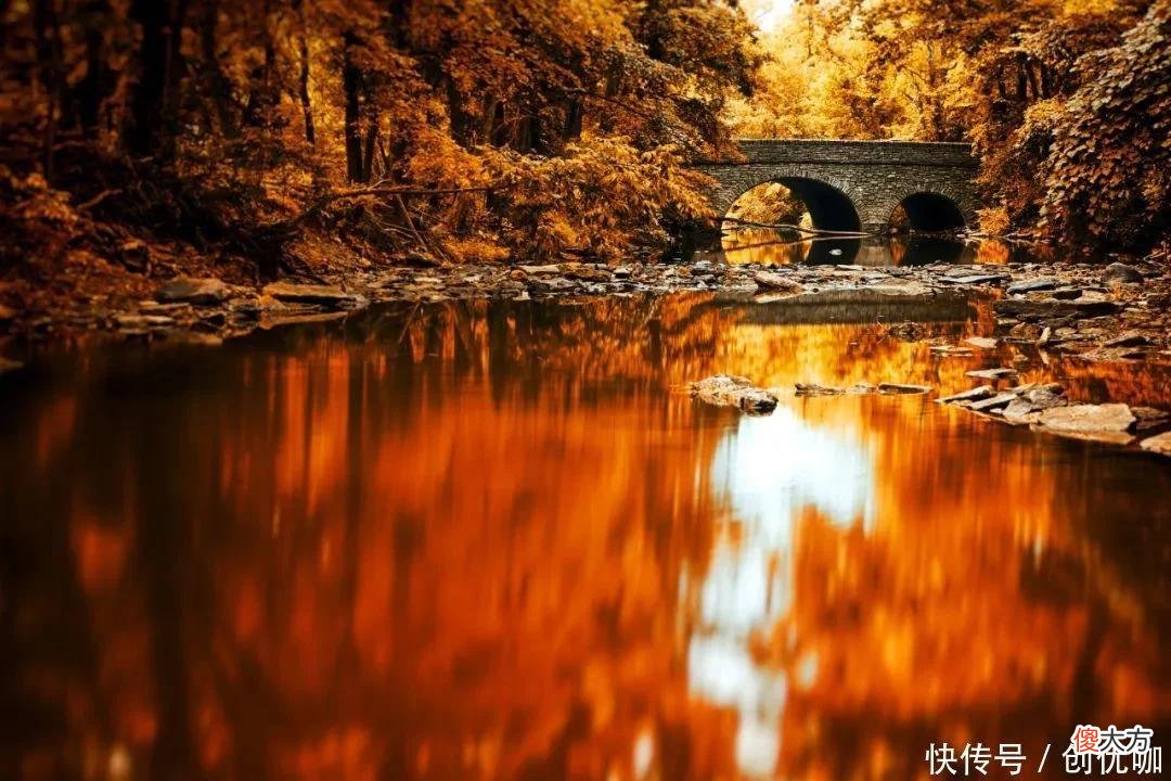 【十二星座】下半年，喜迎大运，闯出一片天，多元发展，财源广进的3个生肖