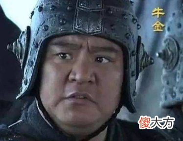 【历史故事】司马懿见一块奇石上刻着四字，大呼司马家危矣，转身杀掉身边猛将