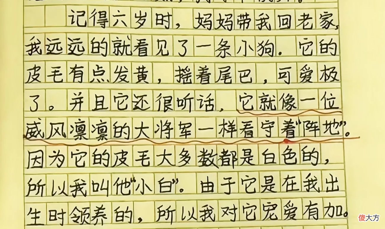 8岁孩子《童年趣事》,不但文笔酣畅,而且字迹堪比“神仙字体”