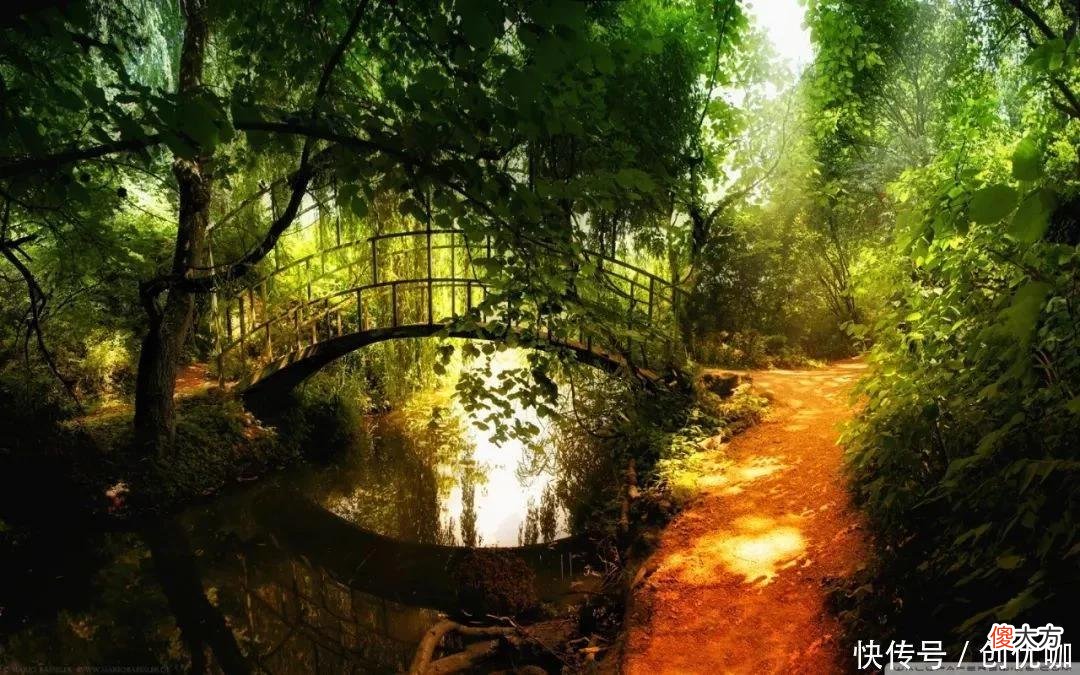 【十二星座】9月，红鸾星闪，爱情桃花开，将盼来真爱，丰收幸福的3个生肖