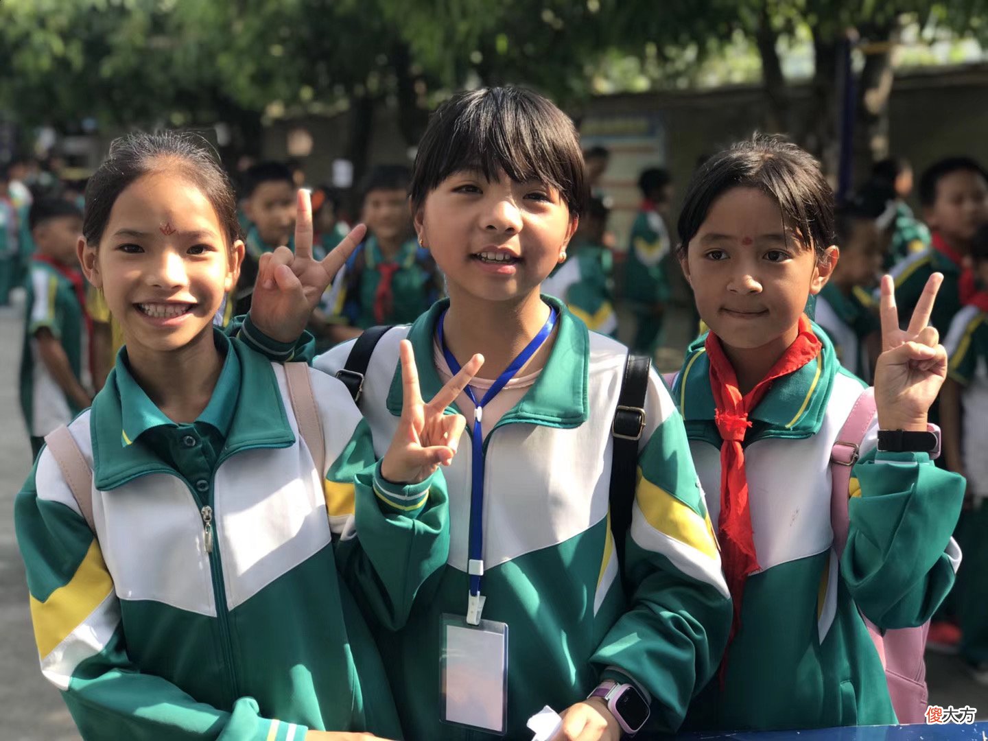 小学生未写作业欲轻生：家长没有起到监督作用，才是事件根源！