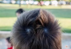 农村流行语：“双顶男孩找不到，双顶女孩无人要”，这话啥意思？