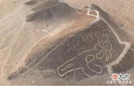 神秘“巨猫”现身秘鲁，长达37米，2000年前已出现
