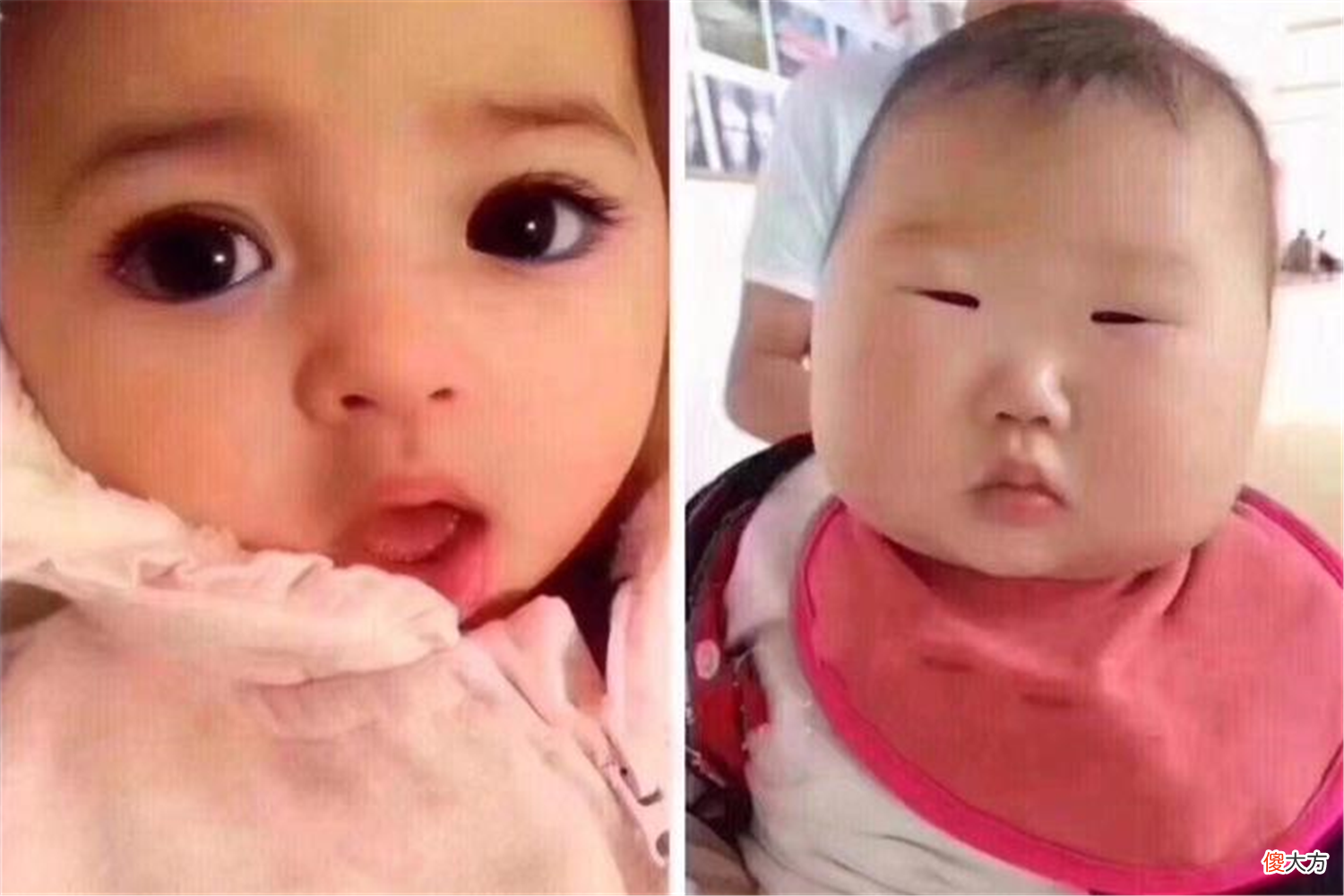 怀孕后吃葡萄会生大眼萌娃？这两类孕妇最好别碰，孕期饮食需谨慎