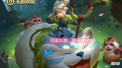 【游戏迷】悄悄告诉你！其实阿古朵最实用的出装并不是巨人之握