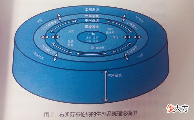 内向胆小、拖拉磨蹭都不是问题，了解儿童心理发展，学会整体养育