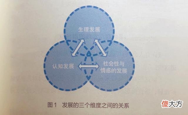 内向胆小、拖拉磨蹭都不是问题，了解儿童心理发展，学会整体养育