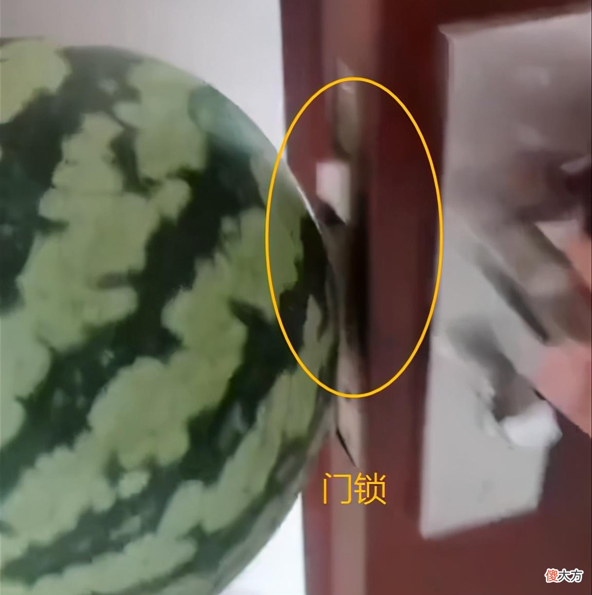 用一个西瓜告诉家长,在有娃的家庭中,哪些“棱角”潜在危险