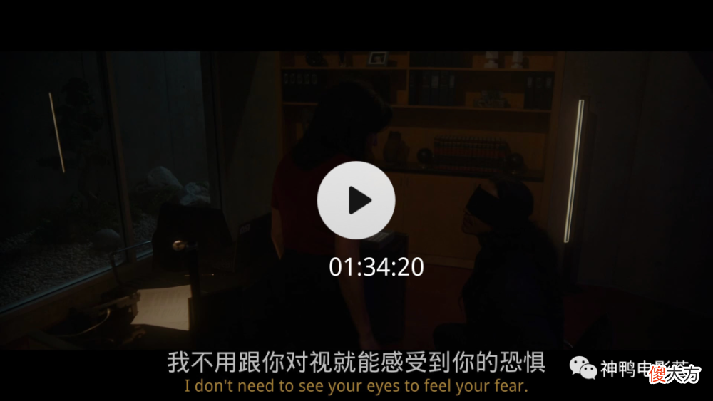 【游戏迷】1992年，街机进入中国，格斗游戏百花齐放，12人街霸登场