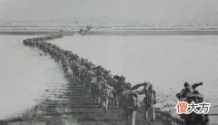 【爱历史】抗美援朝时期，志愿军的英勇无畏，打出了美军五个“没想到”