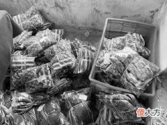 【就爱时尚】这款“大牌”卫衣出自小加工厂