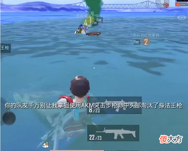 【游戏迷】和平精英：决赛圈刷到海里只能被毒死？王小歪教你如何水中打人