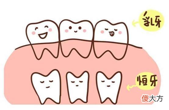 乳牙都会换，提前掉几颗有关系吗？医生：有关系的