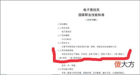 【游戏迷】若是按照国家标准，来给现在的KPL几大知名选手分等级，哪一位会是最高的