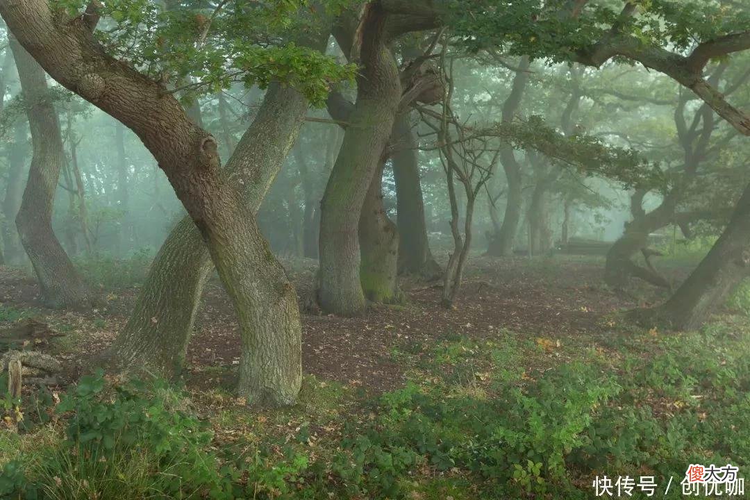 【十二星座】9月,先苦后甜的3大生肖,否极泰来,避开霉运,万事大吉