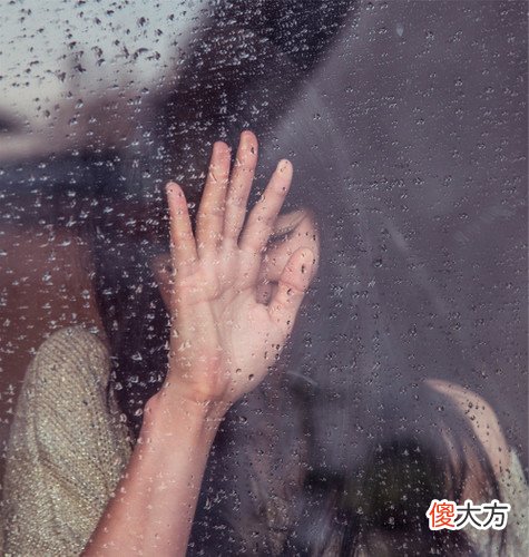 “成人幼儿园”是什么样？又能带来什么？豆瓣8.0的书为你揭秘