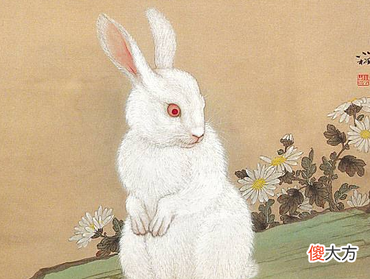 40.癸卯日
