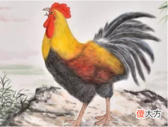 58.辛酉日