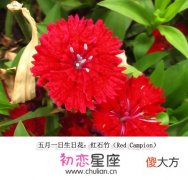 生日花语·五月