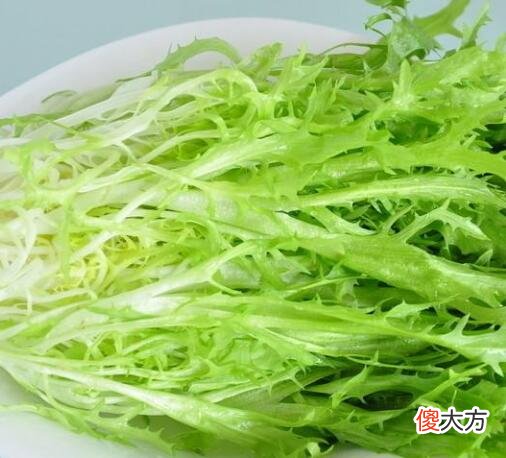 生日花语·八月