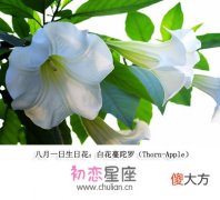 生日花语·八月
