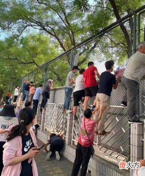 孩子哭闹不愿去幼儿园？家长可能走错了方向，可以试试这三个办法，轻松解决新生入园难题