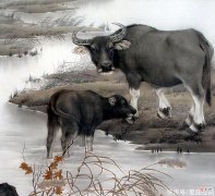 【十二星座】一生善良厚道，好报源源不断的生肖，9月苦海不长，钱财自来
