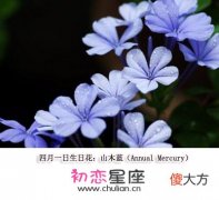 生日花语·四月