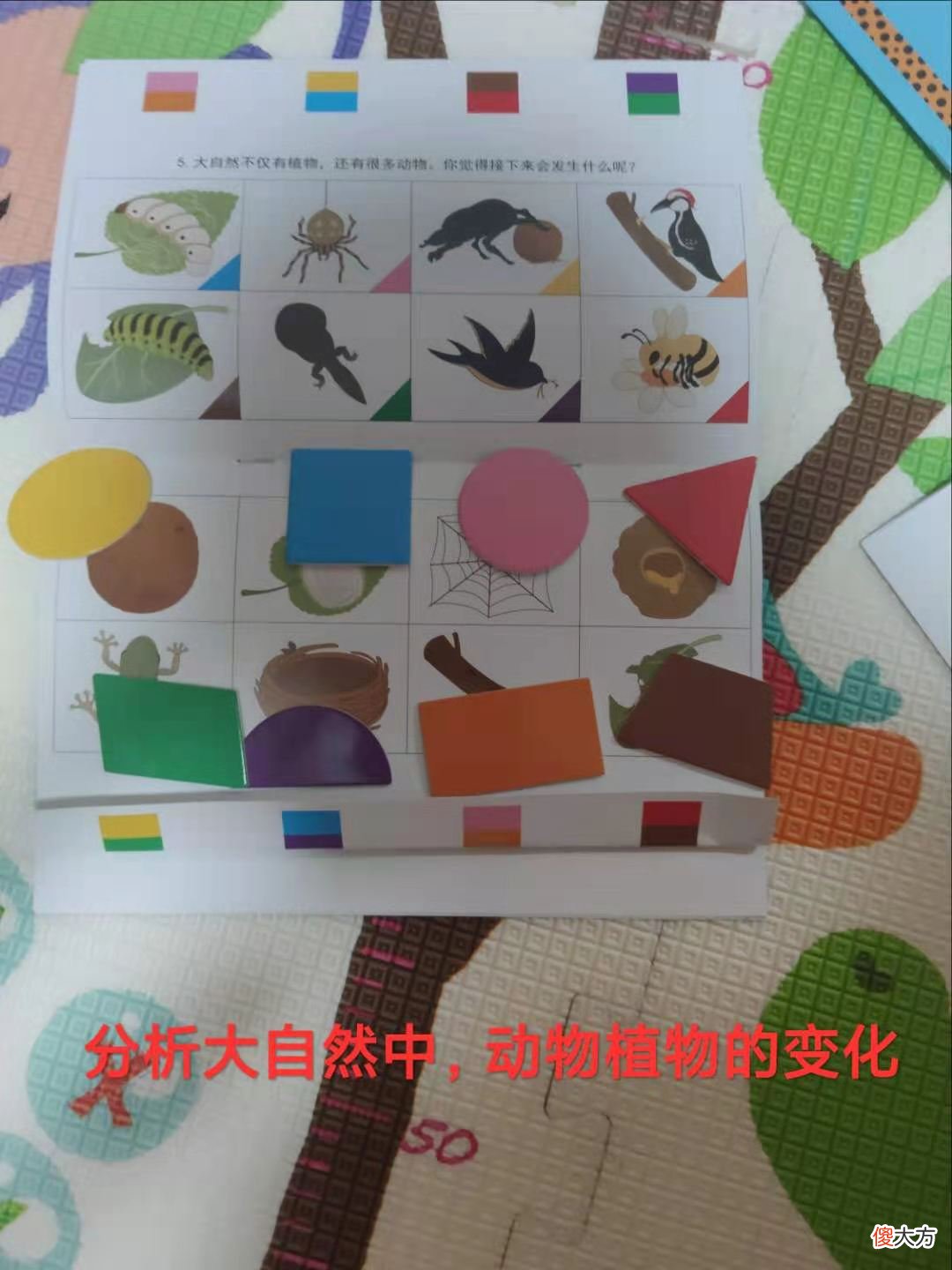 逻辑狗都说好，究竟该不该买呢？逻辑思维启蒙多晚不算晚？