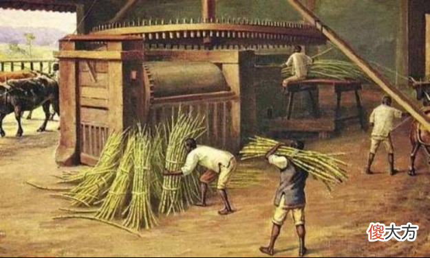 【历史故事】葡萄牙对巴西的殖民活动，助推了黑奴三角贸易