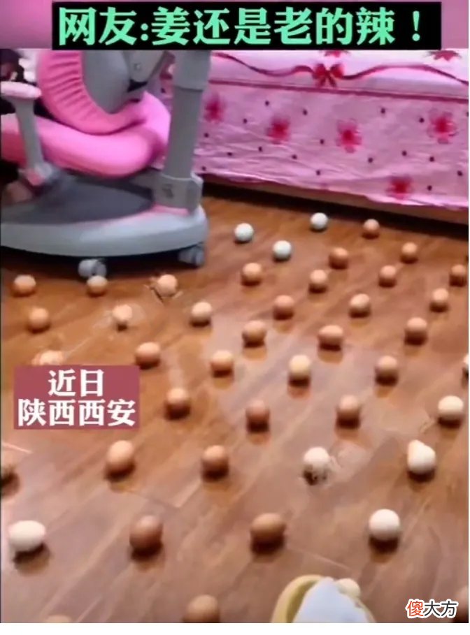 孩子写作业走神，摆个鸡蛋就能搞定？提高专注力，千万别用错方法