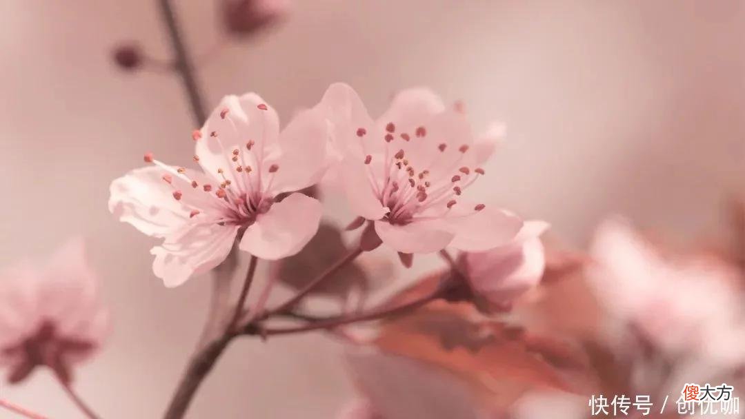 【十二星座】2022下半年，喜讯频传，多金多福的3个生肖，富贵花开，吉祥如意