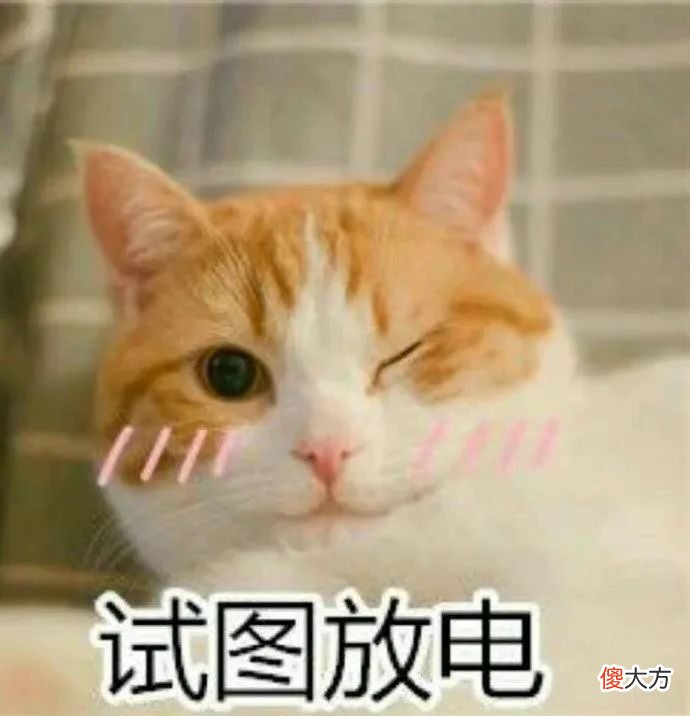 【就爱时尚】单眼皮、泪沟、凸嘴、方腮等，才是“小美女”的重中之重