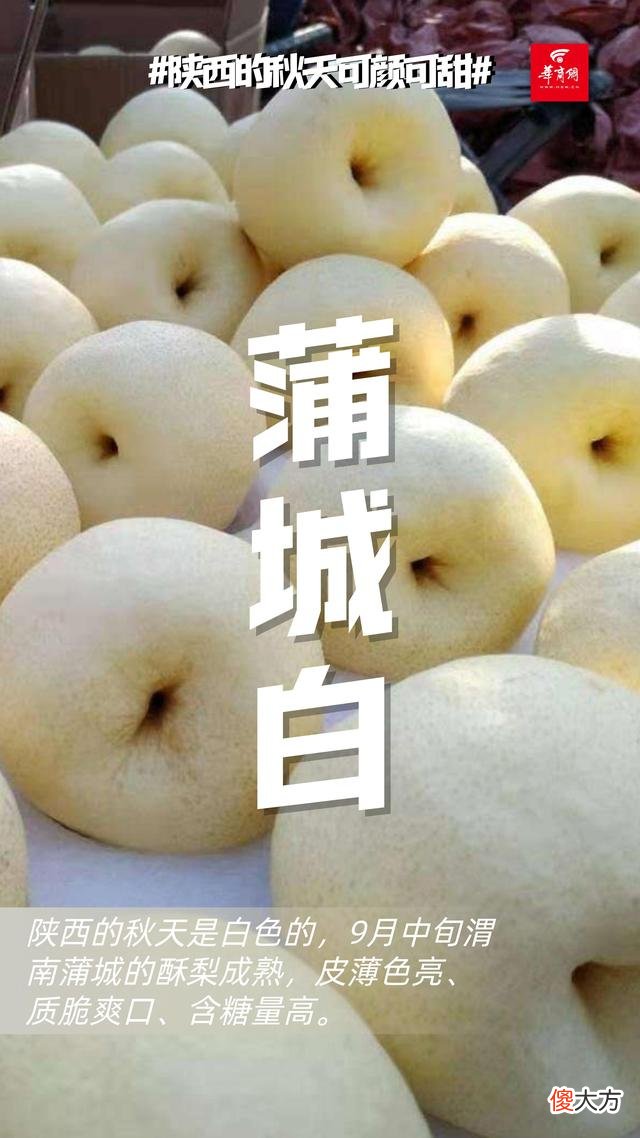 【就爱时尚】可颜可甜！这是陕西秋天的专属色号