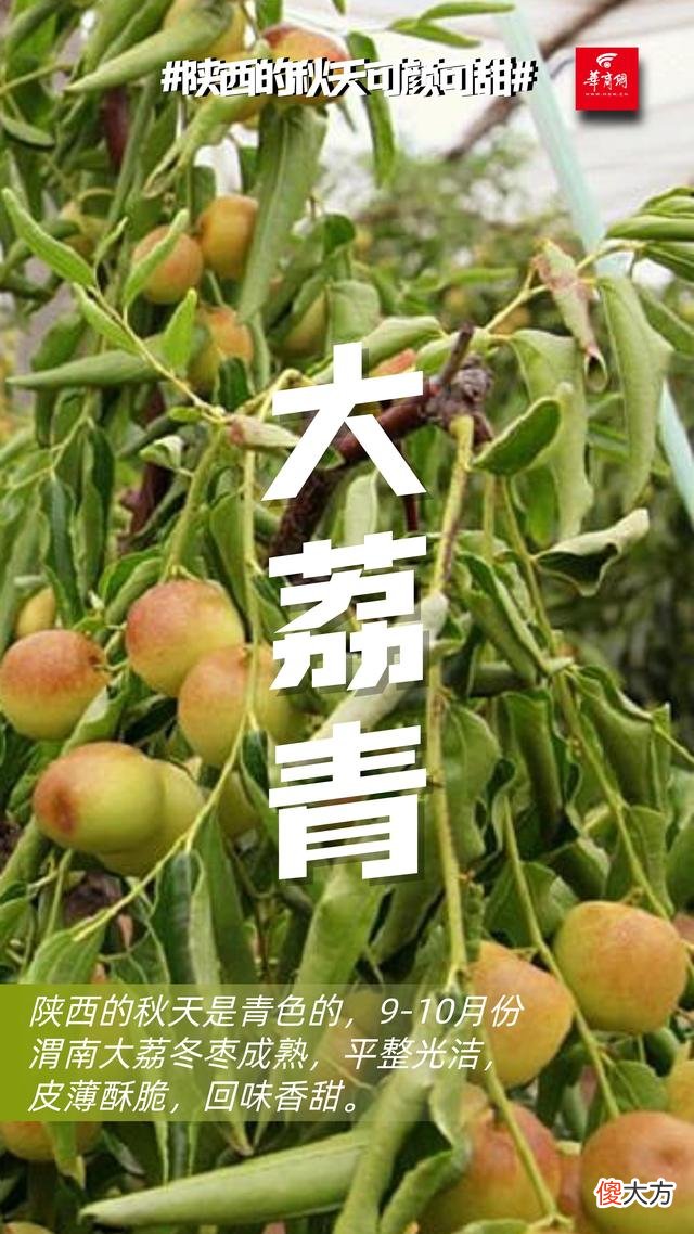 【就爱时尚】可颜可甜！这是陕西秋天的专属色号