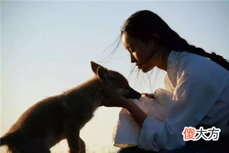美女画家把“狼”当孩子养,放回狼群10年后,再相见让人泪目