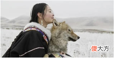 美女画家把“狼”当孩子养,放回狼群10年后,再相见让人泪目