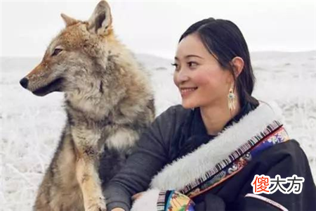 美女画家把“狼”当孩子养,放回狼群10年后,再相见让人泪目