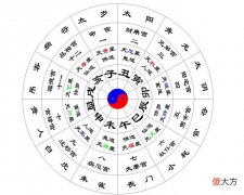 命盘解读范例