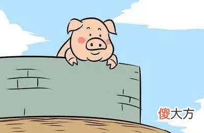 【爱历史】穆斯林要求的“清真”，究竟是个怎么个来历，都讲究什么