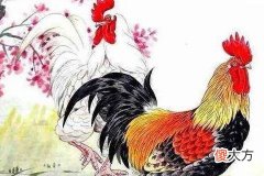 93年属鸡男的和什么属相最配最适合结婚