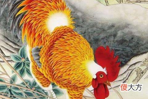 属鸡犯冲的四个属相有哪些生肖